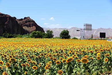 《狂野之心》PS5版容量曝光 2月15日开始预载