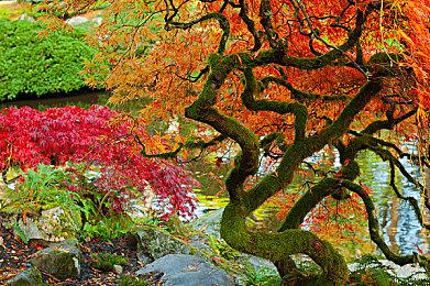 《铁拳8》发售一年后销量达到300万套 新角色安娜战斗展示